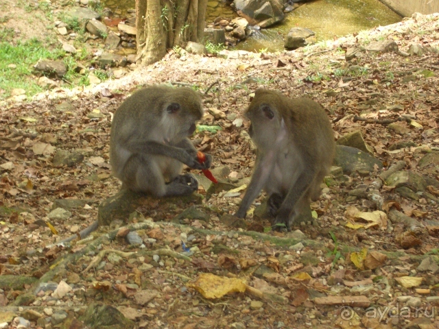 На яхте от Пхукета до Лангкави и обратно (по красивым островам)