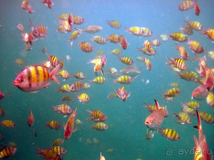 На яхте от Пхукета до Лангкави и обратно (по красивым островам)