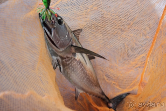 На яхте от Пхукета до Лангкави и обратно (по красивым островам)