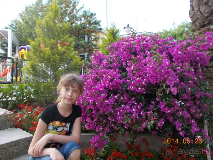 Хороший отель в хорошем месте Турции