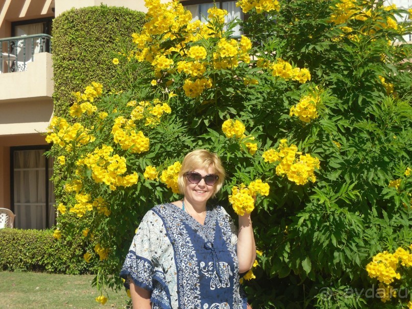 забудь о работе!