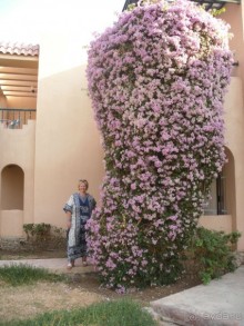 забудь о работе!