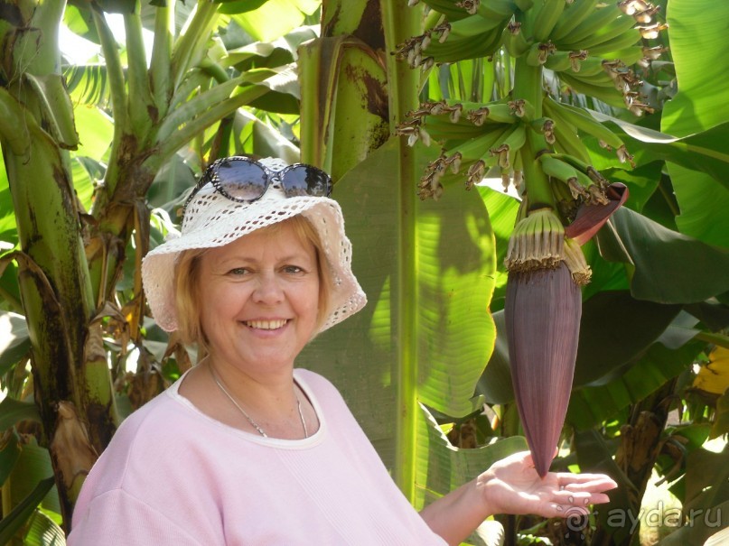 забудь о работе!