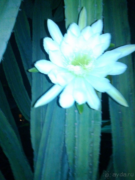 забудь о работе!