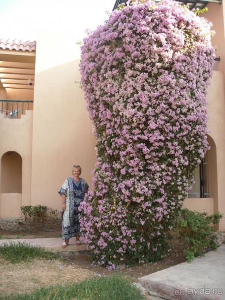 забудь о работе!