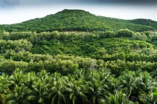 фото Vinpearl Nha Trang Resort