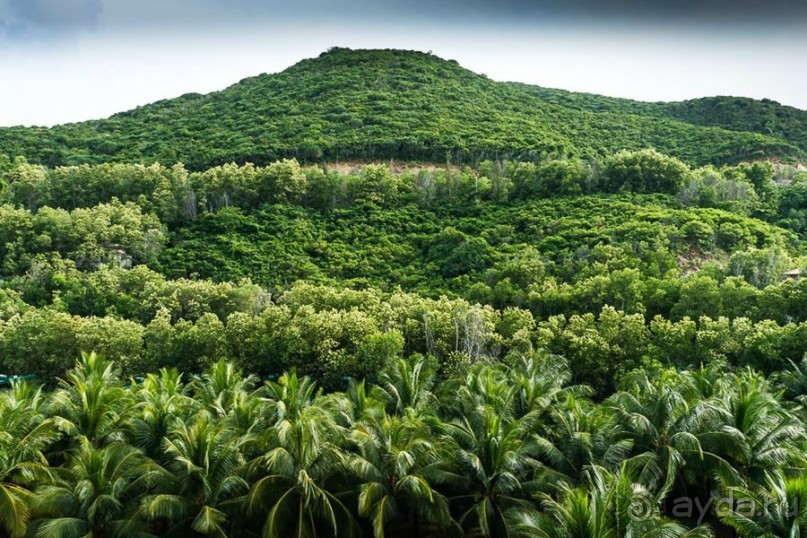 Отличный отдых