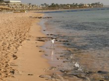 "Не понравился сервис - ваши проблемы"