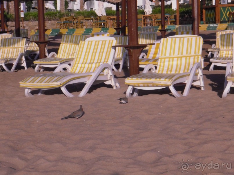 "Не понравился сервис - ваши проблемы"