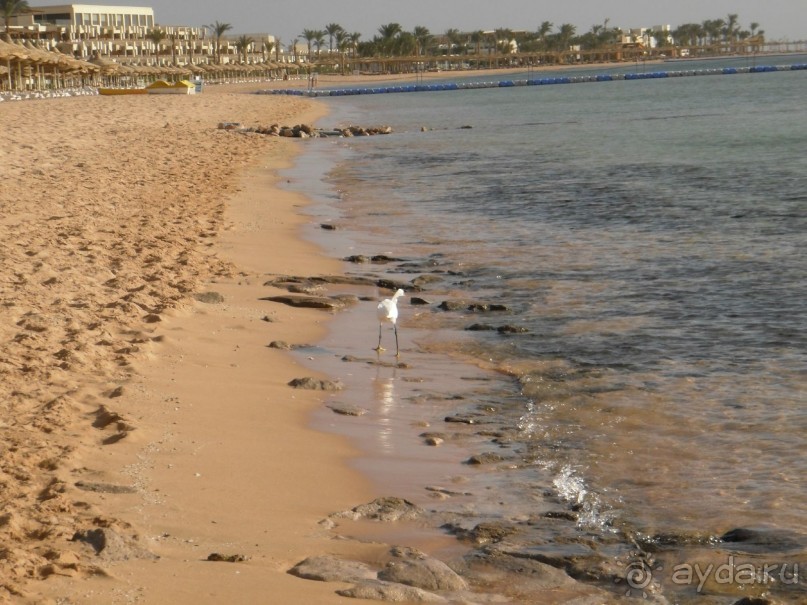 "Не понравился сервис - ваши проблемы"