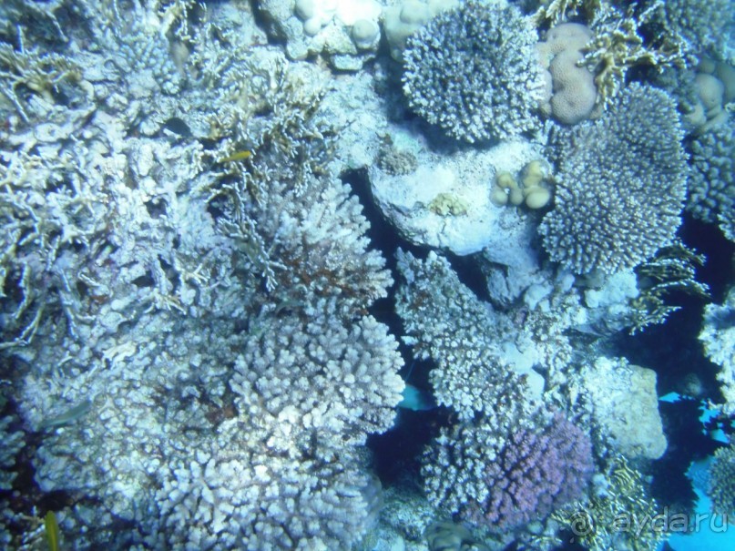 "Не понравился сервис - ваши проблемы"