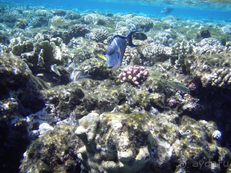 "Не понравился сервис - ваши проблемы"