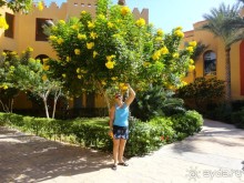 Рекомендую