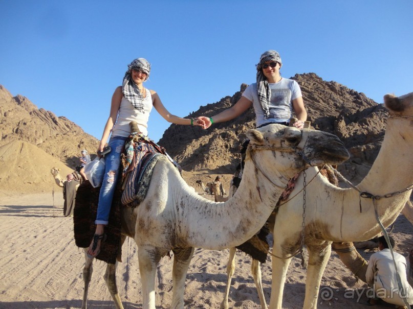 Рекомендую