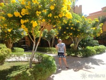 Рекомендую