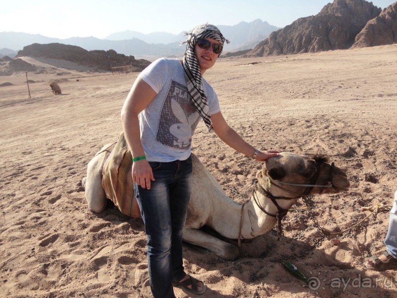 Рекомендую