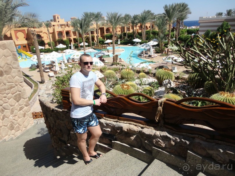 Рекомендую