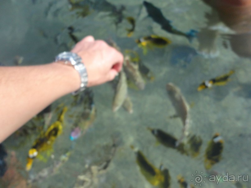 Рекомендую