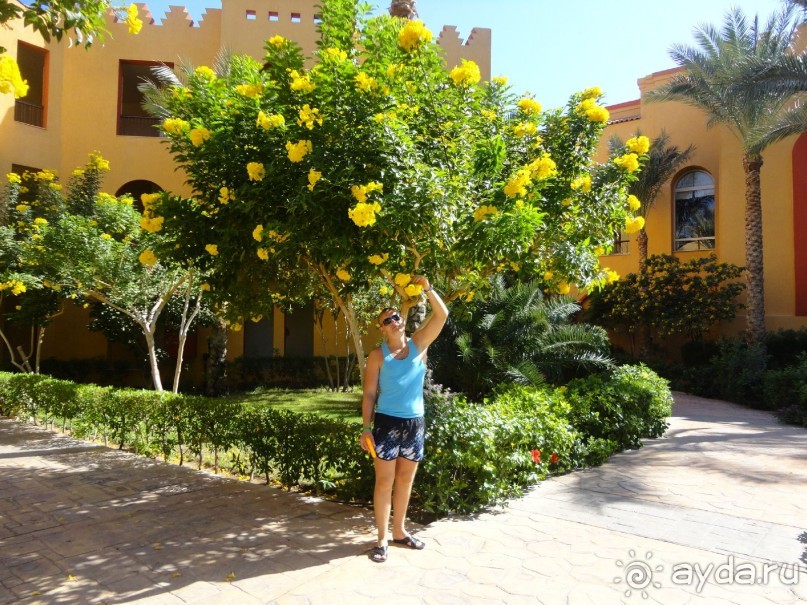 Рекомендую