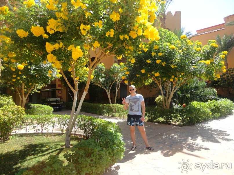 Рекомендую