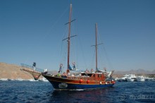 Экскурсии в Шарм эль Шейхе