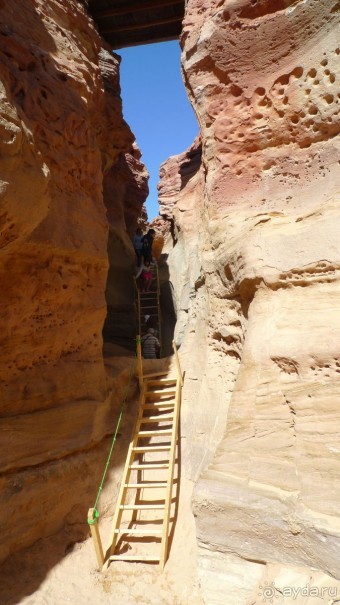 Экскурсии в Шарм эль Шейхе