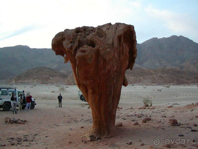 Экскурсии в Шарм эль Шейхе