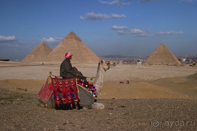 Экскурсии в Шарм эль Шейхе