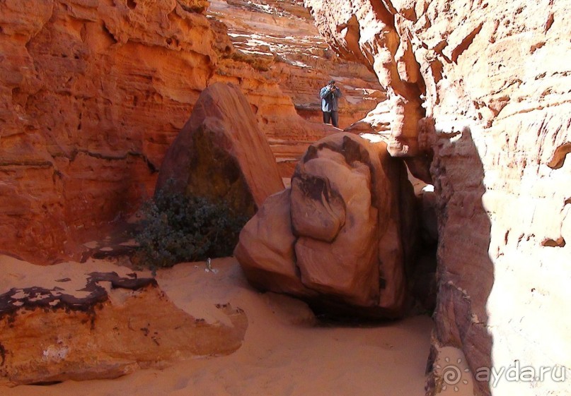 Экскурсии в Шарм эль Шейхе