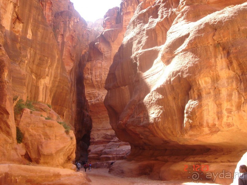 Экскурсии в Шарм эль Шейхе