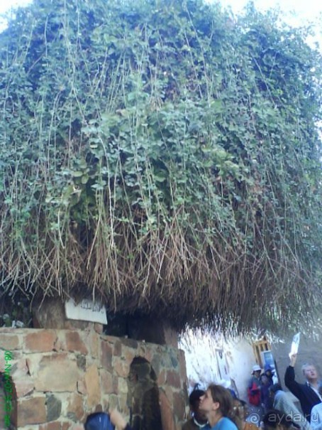 Экскурсии в Шарм эль Шейхе