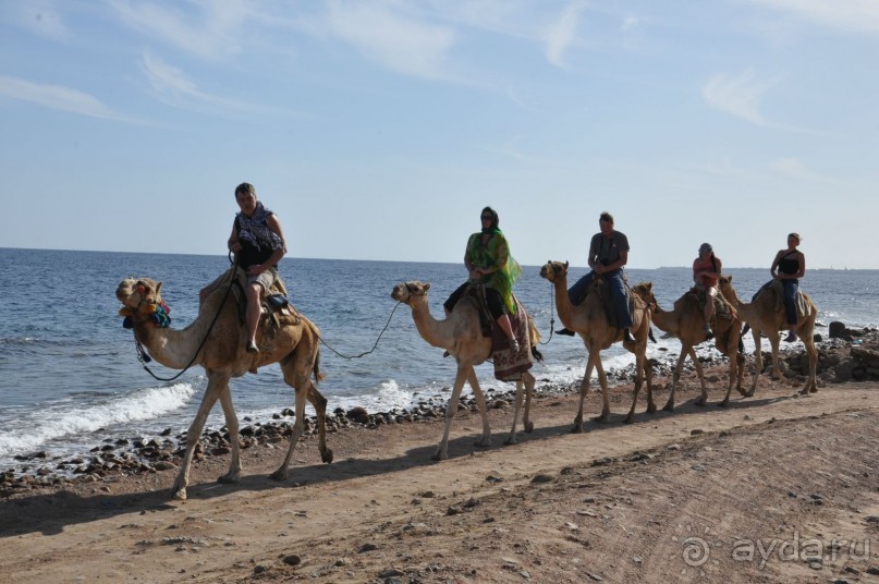 Экскурсии в Шарм эль Шейхе