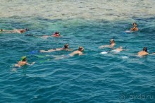 Экскурсия Дискавери