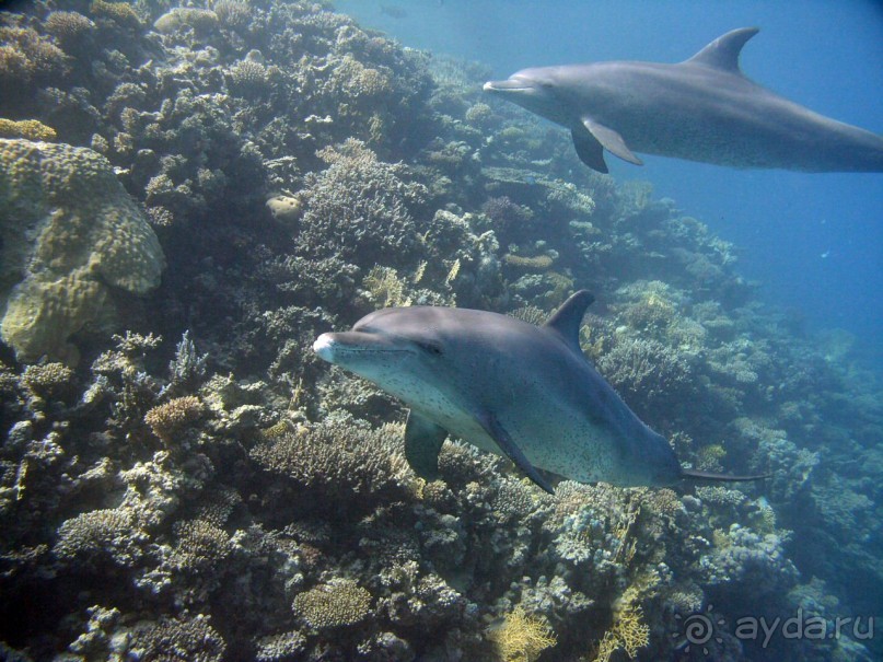 Экскурсия Дискавери