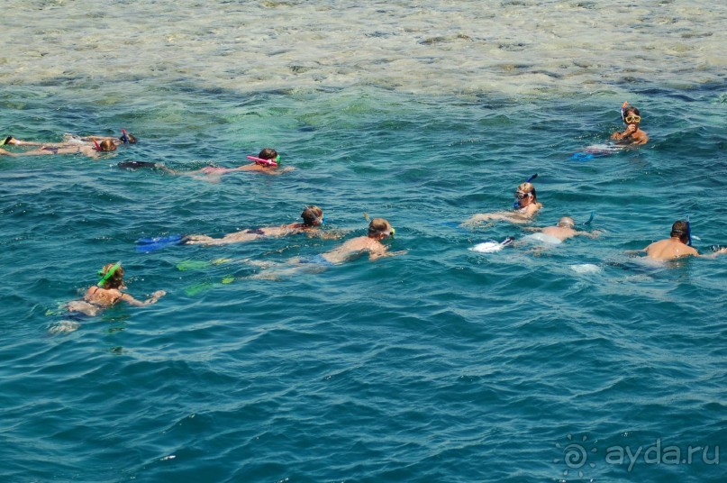 Экскурсия Дискавери