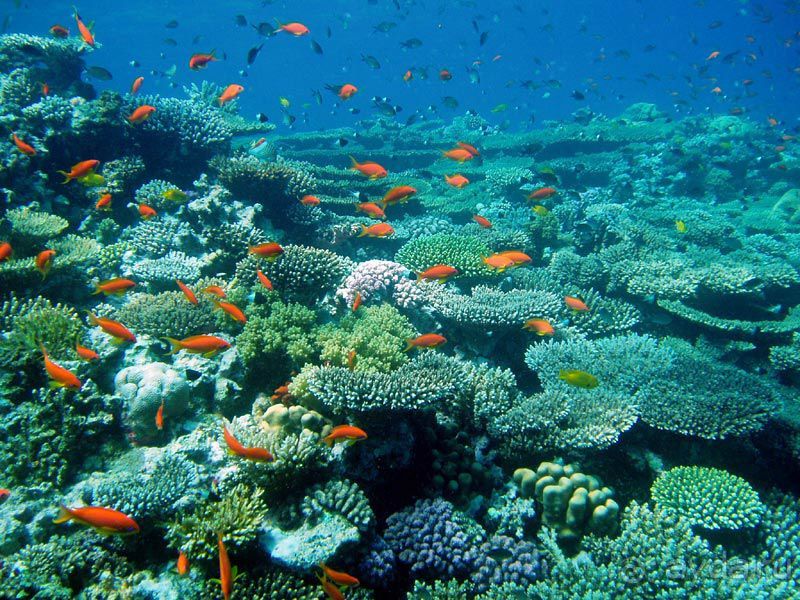 Экскурсия Дискавери