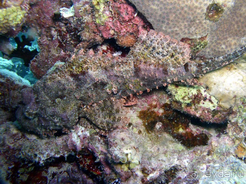 Экскурсия Дискавери