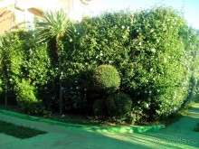 Рекомендуем!