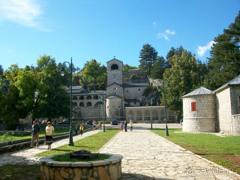 Рекомендуем!