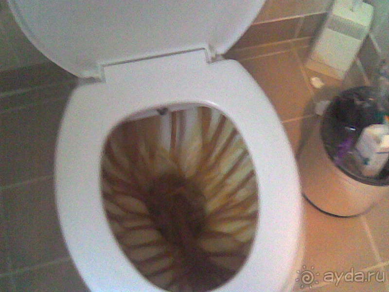 фото  Club Hotel Turan Prince World