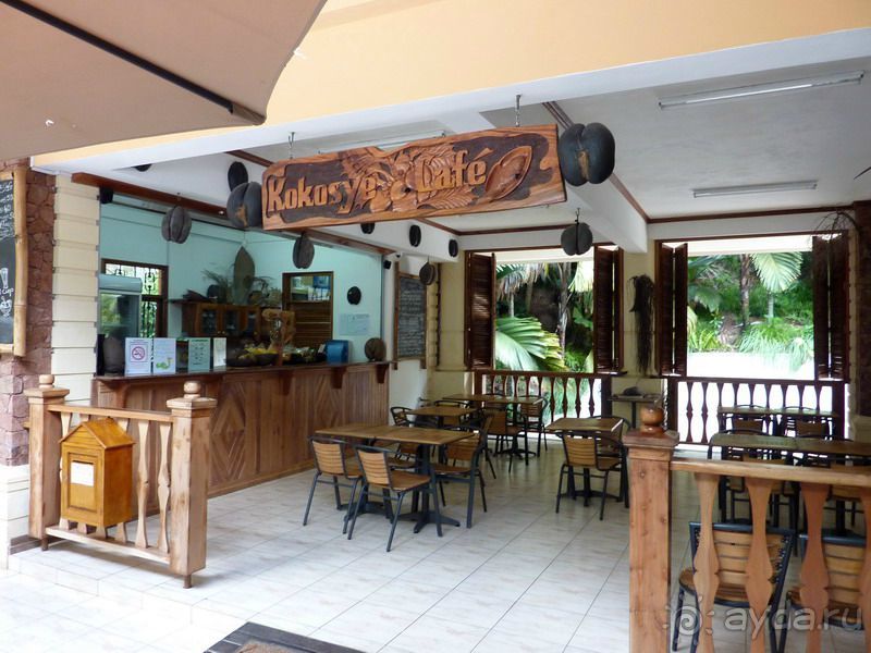 Морская пальма, штамп в паспорте и тяжелый сувенир!