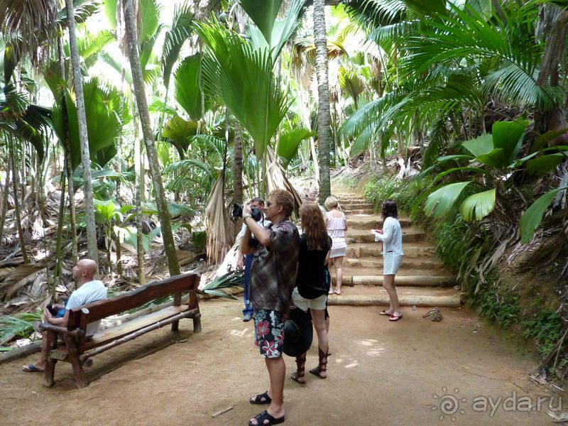 Морская пальма, штамп в паспорте и тяжелый сувенир!