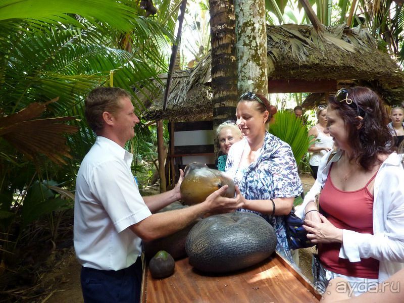 Морская пальма, штамп в паспорте и тяжелый сувенир!