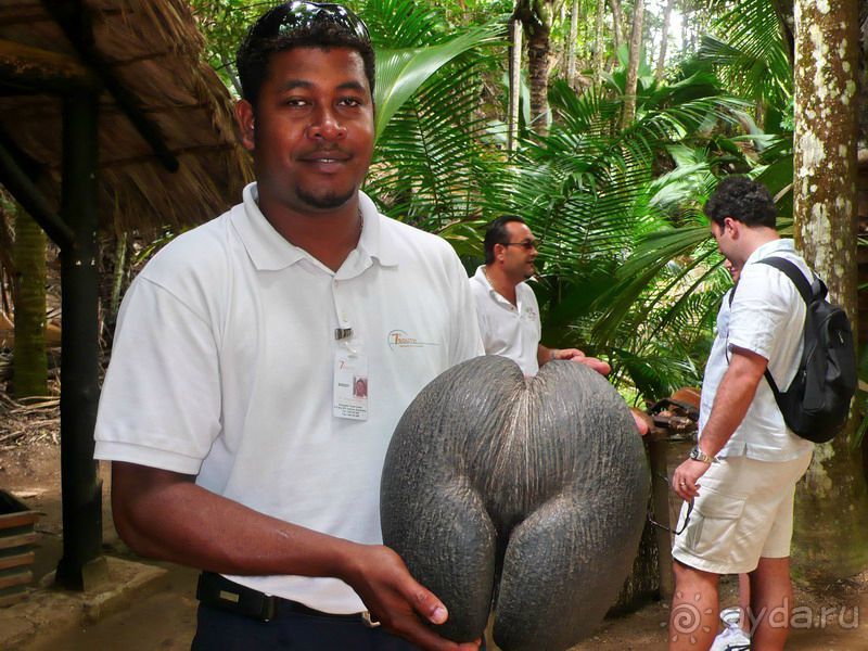 Морская пальма, штамп в паспорте и тяжелый сувенир!