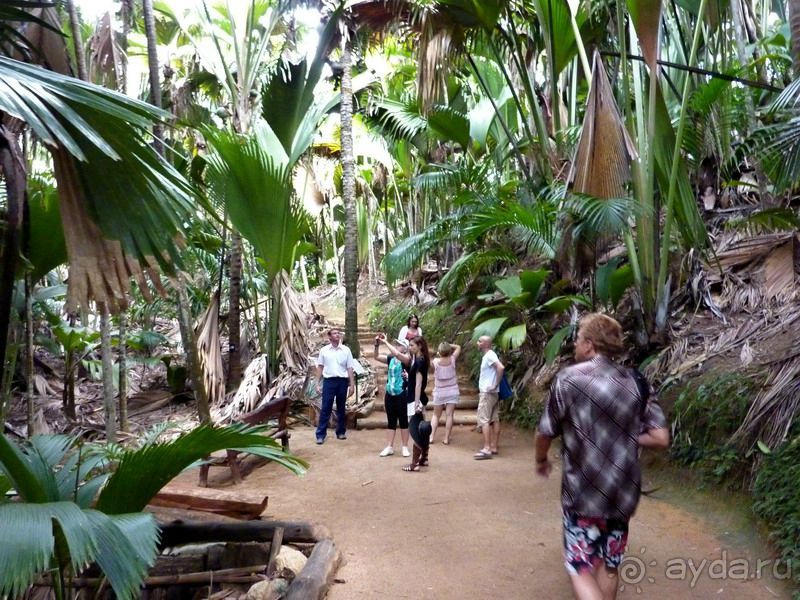 Морская пальма, штамп в паспорте и тяжелый сувенир!