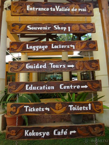 Морская пальма, штамп в паспорте и тяжелый сувенир!