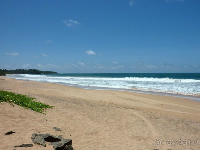 Шри Ланка Черепашья ферма