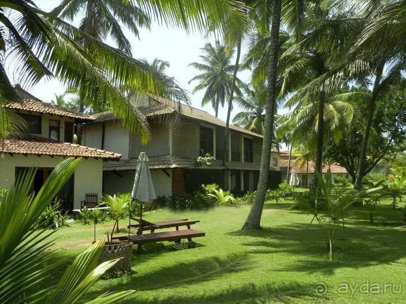 фото Kosgoda Beach