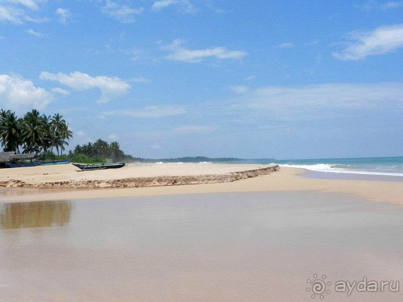 фото Kosgoda Beach