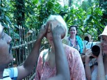 Классический пример, когда вас развели на деньги, но вы остались счастливы!